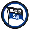 皮涅鲁斯